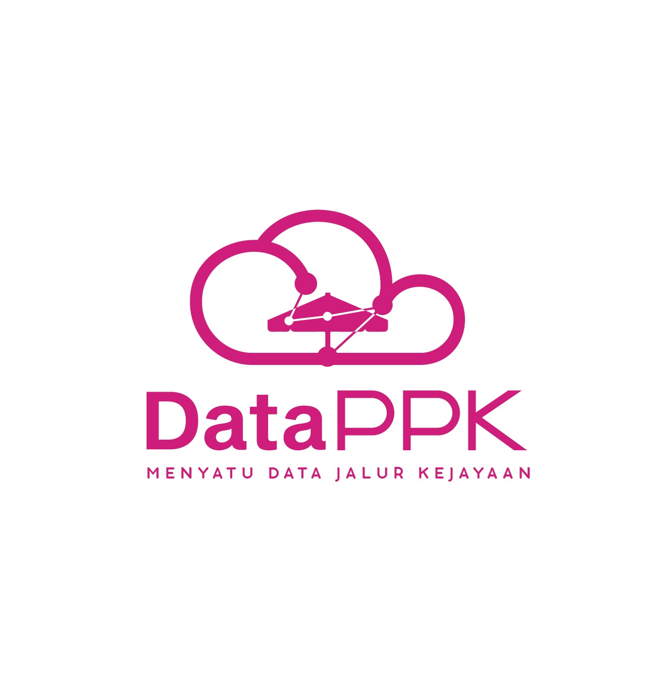 DATAPPK Logo